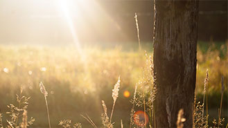 短信轰炸机网页版