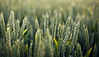 找个靠谱代理的云呼在线轰炸